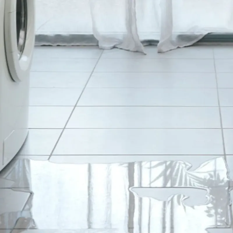 Appliance Leak Cleanup in White Oak, TX